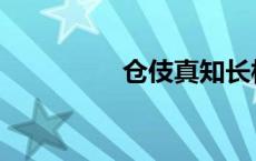 仓伎真知长相 仓伎真知 