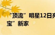 “顶流”明星12日亮相，带你提前探访“福宝”新家