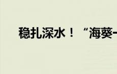 稳扎深水！“海葵一号”完成海上安装