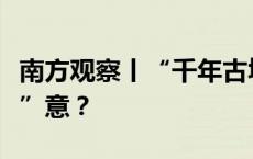 南方观察丨“千年古墟”，阳春如何玩出“新”意？