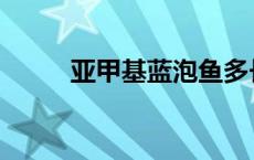 亚甲基蓝泡鱼多长时间 亚甲基蓝 