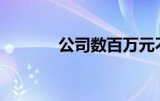 公司数百万元不翼而飞后……