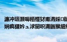 濂冲瓙灏嗕粨榧犲甫涓婇鏈鸿嚧鍏ㄤ綋鏃呭涓嬫満锛熶笂娴疯櫣妗ュ浗闄呮満鍦猴細纭湁浜哄甫灏忓姩鐗╃櫥鏈?,