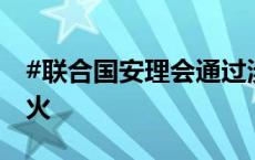 #联合国安理会通过涉加沙决议# 呼吁巴以停火