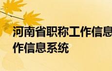 河南省职称工作信息系统官网 河南省职称工作信息系统 