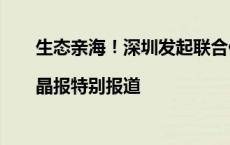 生态亲海！深圳发起联合倡议，换一种方式“赶海”|晶报特别报道