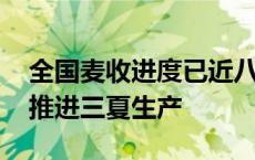 全国麦收进度已近八成 新技术、新措施扎实推进三夏生产