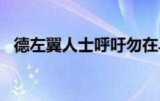 德左翼人士呼吁勿在乌克兰问题上“玩火”