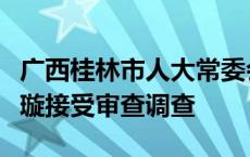 广西桂林市人大常委会党组成员、副主任唐修璇接受审查调查