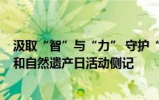 汲取“智”与“力” 守护“根”与“魂”——2024年文化和自然遗产日活动侧记