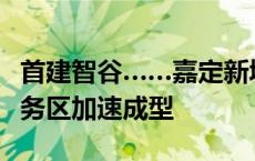 首建智谷……嘉定新城这个73.1万平方米的商务区加速成型