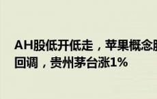 AH股低开低走，苹果概念股走强，航运、贵金属板块持续回调，贵州茅台涨1%