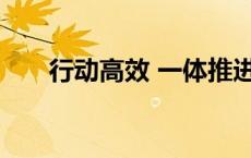 行动高效 一体推进“四普”稳步进阶