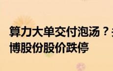 算力大单交付泡汤？关键人物周韡韡离场，鸿博股份股价跌停