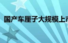 国产车厘子大规模上市，比进口价格低四成