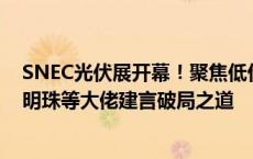 SNEC光伏展开幕！聚焦低价竞争、全面出海，朱共山、董明珠等大佬建言破局之道