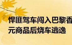 悍匪驾车闯入巴黎香奈儿抢劫 洗劫近千万欧元商品后烧车逃逸