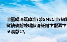 澶氫綅涓氱晫澶т浆SNEC澶т細鍙戝０锛佽懀鏄庣彔鐩磋█鈥滃競鍦轰笉鐩镐俊鐪兼唱鈥濓紝鏈卞叡灞卞枈璇濃€滀笉鑳借耽浜嗛潰瀛愯緭鎺夎￥瀛愨€?,