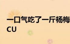 一口气吃了一斤杨梅，温州74岁阿婆被送进ICU