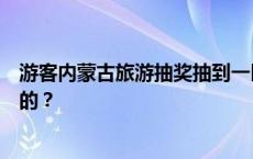 游客内蒙古旅游抽奖抽到一匹马，网友：活的蒙古马，玩真的？