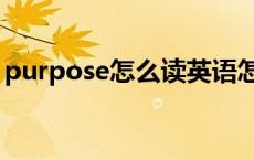 purpose怎么读英语怎么说 purpose怎么读 