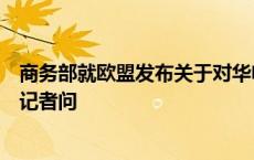 商务部就欧盟发布关于对华电动汽车反补贴调查初裁披露答记者问