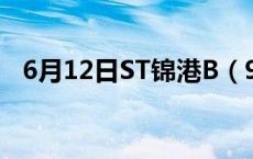 6月12日ST锦港B（900952）龙虎榜数据