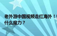 老外游中国视频走红海外！镜头里展现的中国，对外国人有什么魔力？