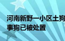 河南新野一小区土狗咬伤6人包括4名儿童 涉事狗已被处置