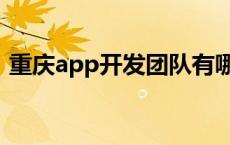 重庆app开发团队有哪些 重庆app开发团队 