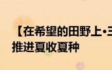 【在希望的田野上·三夏时节】各地抢抓农时推进夏收夏种