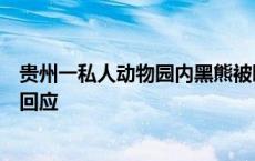 贵州一私人动物园内黑熊被曝“瘦脱相”“饿成狗”，官方回应