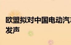 欧盟拟对中国电动汽车加征关税，奔驰、宝马发声