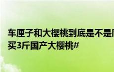 车厘子和大樱桃到底是不是同一种水果？#1斤进口车厘子可买3斤国产大樱桃#