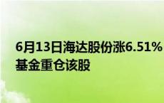 6月13日海达股份涨6.51%，华安兴安优选一年持有混合A基金重仓该股