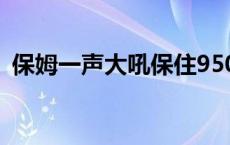 保姆一声大吼保住950万 果断报警极力阻拦