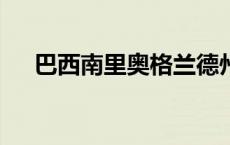 巴西南里奥格兰德州17人因钩体病死亡