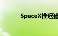 SpaceX推迟猎鹰9号火箭发射