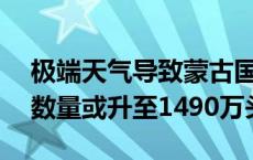 极端天气导致蒙古国超10%牲畜死亡，损失数量或升至1490万头