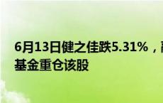 6月13日健之佳跌5.31%，融通健康产业灵活配置混合A/B基金重仓该股