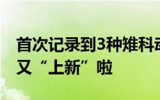 首次记录到3种雉科动物！泸沽湖保护区物种又“上新”啦