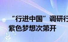 “行进中国”调研行 · 活力宁夏丨贺兰山下紫色梦想次第开