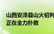 山西安泽县山火初判为雷击火引起 救援人员正在全力扑救