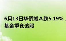 6月13日华侨城Ａ跌5.19%，招商沪深300地产等权重指数A基金重仓该股