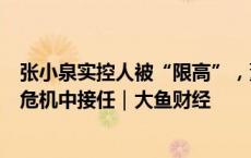 张小泉实控人被“限高”，董事长换人，“企二代”在财务危机中接任｜大鱼财经