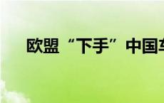 欧盟“下手”中国车企！最新回应来了