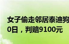 女子偷走邻居泰迪狗虐成重伤后送回，被拘10日，判赔9100元