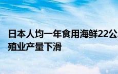 日本人均一年食用海鲜22公斤！渔业从业人数持续减少，养殖业产量下滑