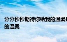 分分秒秒期待你给我的温柔是什么歌 分分秒秒期待着你给我的温柔 