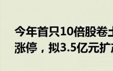 今年首只10倍股卷土重来，正丹股份20CM涨停，拟3.5亿元扩产能